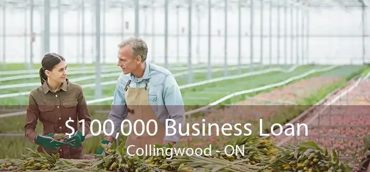 $100,000 Business Loan Collingwood - ON